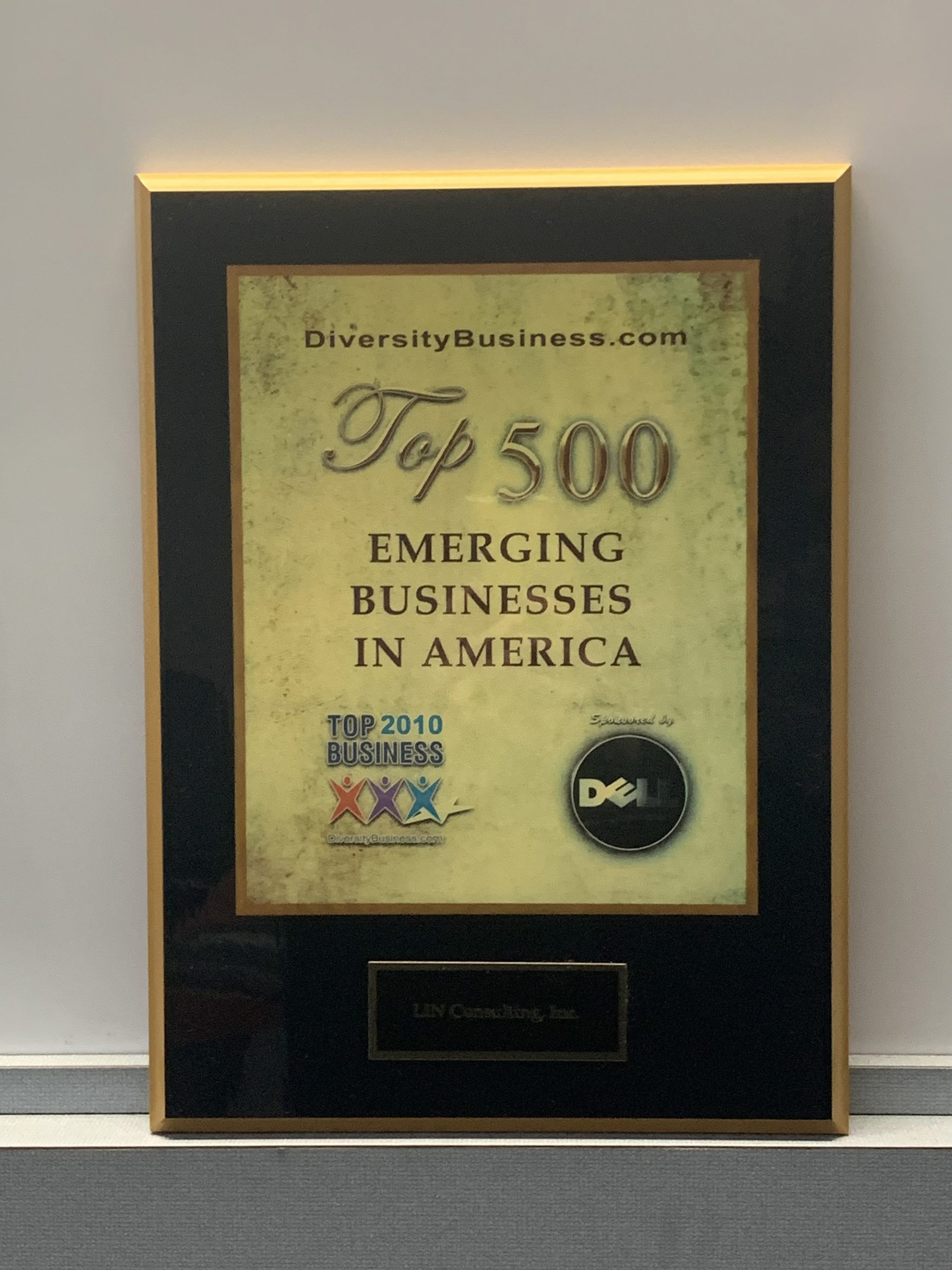 Top 500 Emerging Business in America